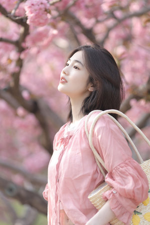 台湾电影《农家姑娘》